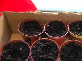 active-in-english-068