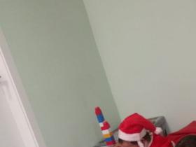 c0a1b5b5-1f6c-4ea7-b4a5-4398178acff2