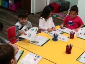 active-in-english-swallows-009